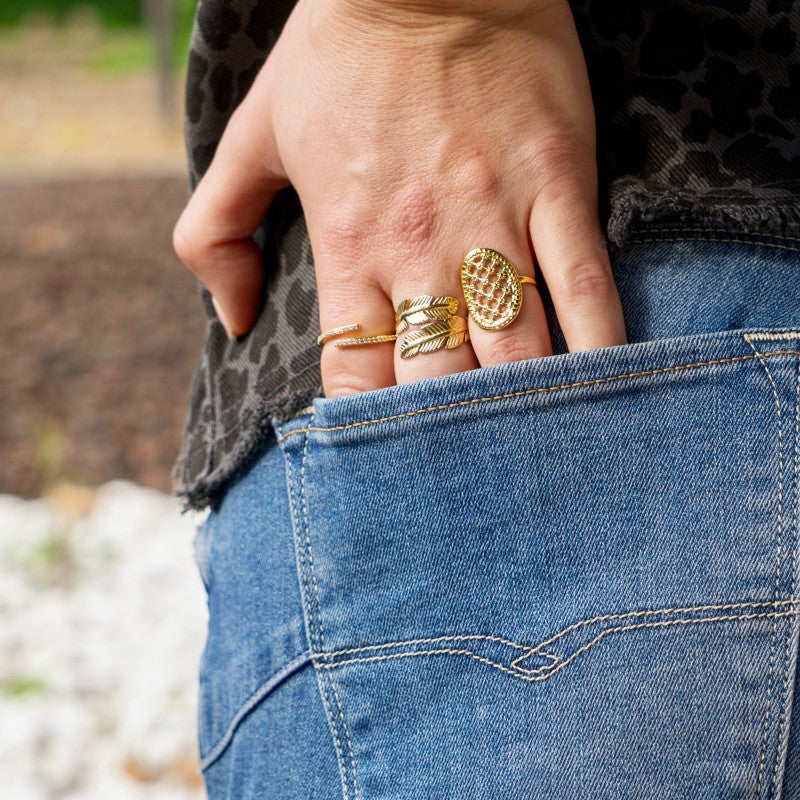 Anillo Marais